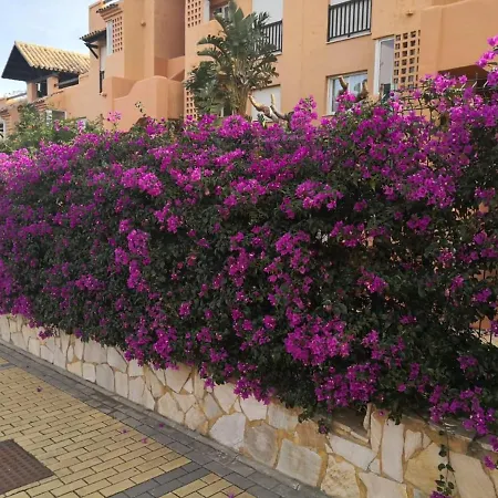 Apartamento Meerblick Del Sol *